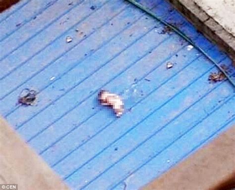 baby found in China
